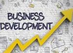 Small business development services