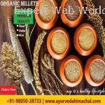 Buy Organic Millets from Arogyam Hospital