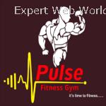 Pulse Fitness Gym